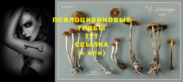 экстази Горняк