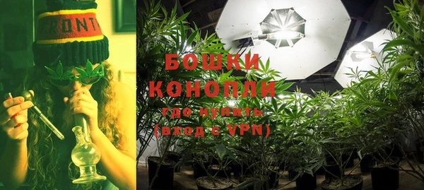 экстази Горняк